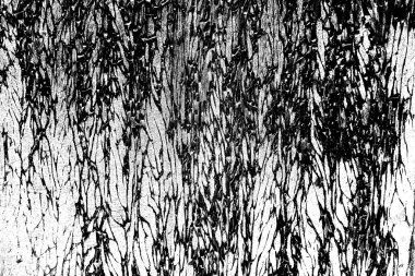 Soyut grunge arkaplanı. Monokrom dokusu. Siyah ve beyaz desenli arkaplan