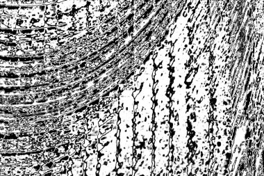 Soyut grunge arkaplanı. Monokrom dokusu. Siyah ve beyaz desenli arkaplan