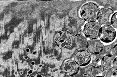 Soyut siyah-beyaz grunge arka planı. monokrom dokusu.