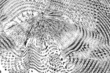 Soyut siyah-beyaz grunge arka planı. monokrom dokusu.