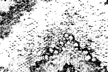 Soyut siyah-beyaz grunge arka planı. monokrom dokusu.