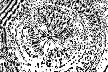 Soyut siyah-beyaz grunge arka planı. monokrom dokusu.