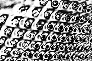 Soyut siyah-beyaz grunge arka planı. monokrom dokusu.