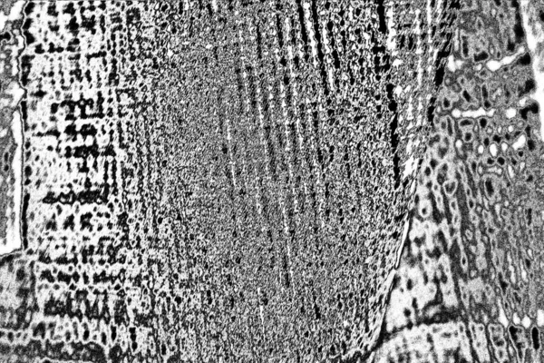 Fondo Grunge Abstracto Textura Monocromática Fondo Texturizado Blanco Negro —  Fotos de Stock