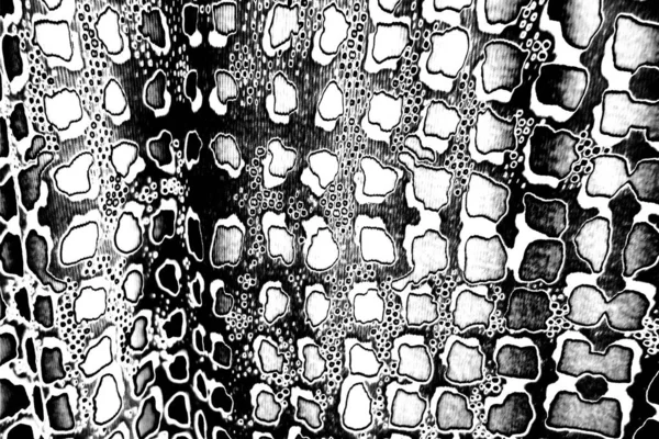 Fondo Grunge Abstracto Blanco Negro Textura Monocromática —  Fotos de Stock