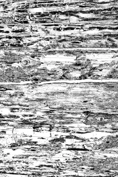 Sfondo Astratto Texture Monocromatica Immagine Compreso Effetto Toni Bianco Nero — Foto Stock