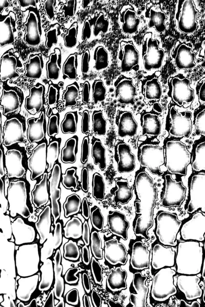 Fondo Grunge Abstracto Textura Monocromática Fondo Texturizado Blanco Negro — Foto de Stock