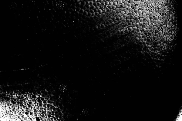 Fondo Grunge Abstracto Blanco Negro Textura Monocromática —  Fotos de Stock