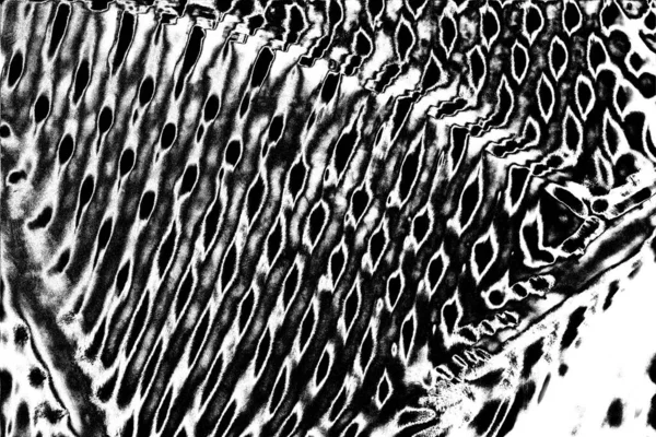 Abstract Background Monochrome Texture Image Including Effect Black White Tones — Stock Photo, Image