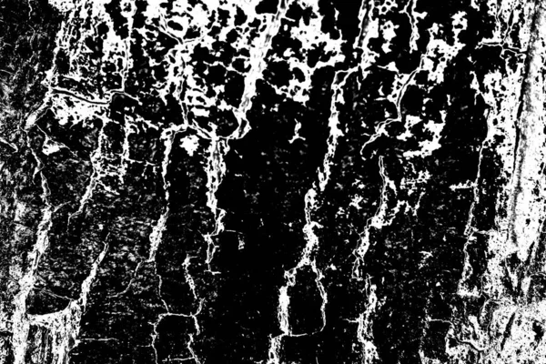 Abstrait Fond Grunge Noir Blanc Texture Monochrome — Photo