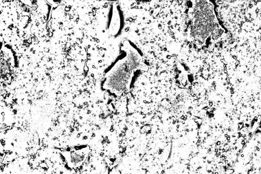 Soyut siyah-beyaz grunge arka planı. monokrom dokusu.