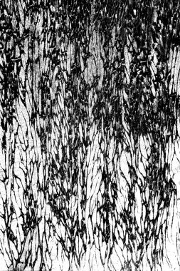 Soyut grunge arkaplanı. Monokrom dokusu. Siyah ve beyaz desenli arkaplan