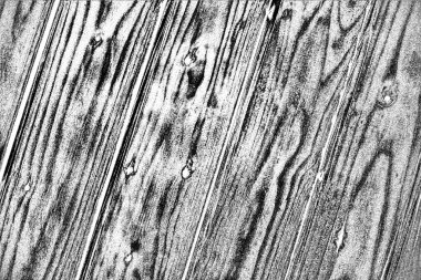 Soyut grunge arkaplanı. Monokrom dokusu. Siyah ve beyaz desenli arkaplan