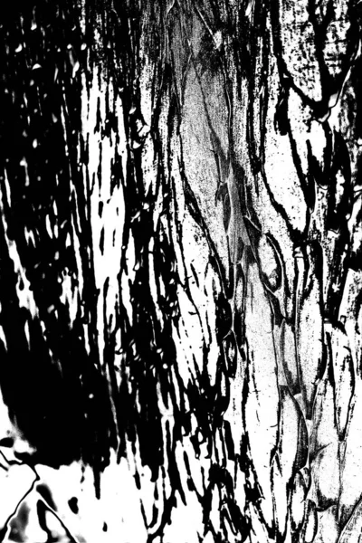 Résumé Fond Grunge Texture Monochrome Fond Texturé Noir Blanc — Photo