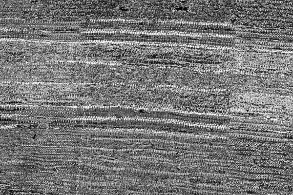 Sfondo Astratto Texture Monocromatica Immagine Compreso Effetto Toni Bianco Nero — Foto Stock