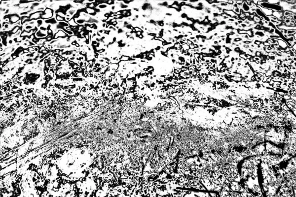 Fondo Grunge Abstracto Blanco Negro Textura Monocromática —  Fotos de Stock