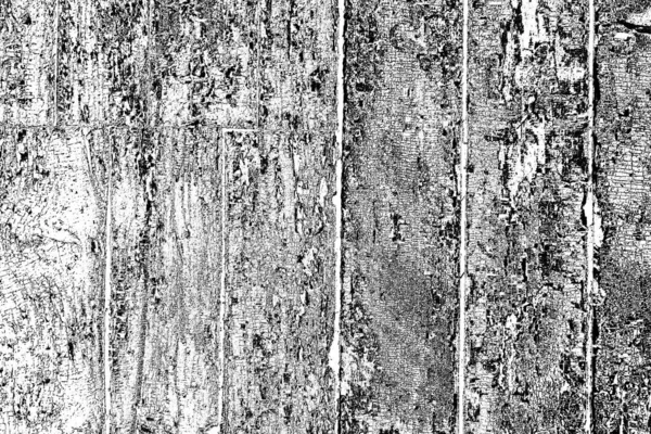 Abstract Black White Grunge Background Monochrome Texture — Stock Photo, Image