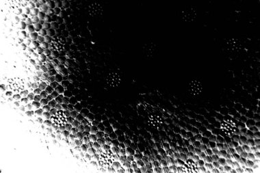 Soyut grunge arkaplanı. Monokrom dokusu. Siyah ve beyaz desenli arkaplan