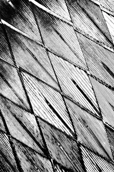 Abstrakt Sort Hvid Grunge Baggrund Monokrom Tekstur - Stock-foto
