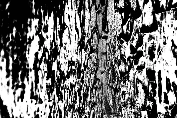 Fondo Grunge Abstracto Blanco Negro Textura Monocromática — Foto de Stock