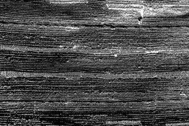 Soyut grunge arkaplanı. Monokrom dokusu. Siyah ve beyaz desenli arkaplan