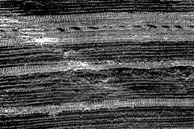 Soyut grunge arkaplanı. Monokrom dokusu. Siyah ve beyaz desenli arkaplan