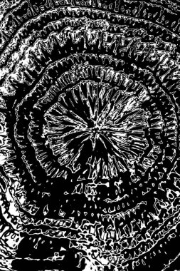 Soyut grunge arkaplanı. Monokrom dokusu. Siyah ve beyaz desenli arkaplan