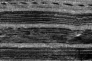 Soyut grunge arkaplanı. Monokrom dokusu. Siyah ve beyaz desenli arkaplan