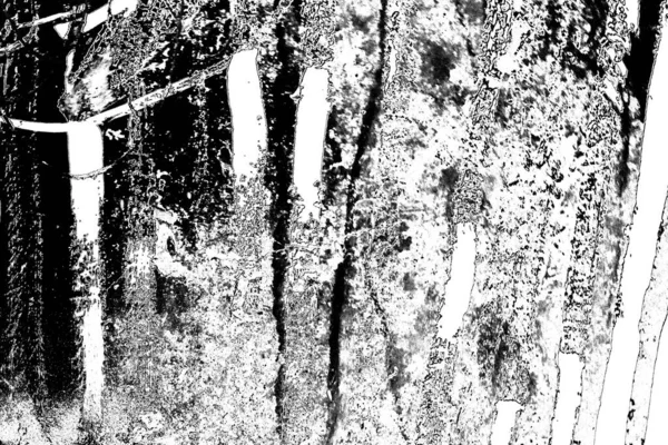 Abstraktní Grunge Pozadí Monochromní Textura Černobílé Texturované Pozadí — Stock fotografie