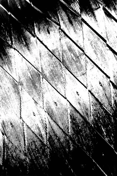 Abstract Black White Grunge Background Monochrome Texture — Stock Photo, Image