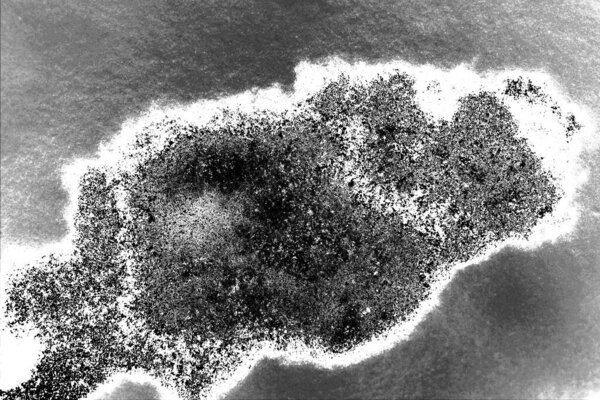 Черно-белый фон. монохромная текстура.