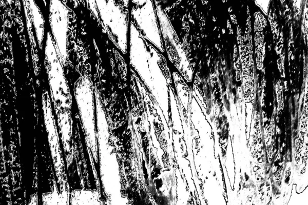 Fondo Grunge Abstracto Textura Monocromática Fondo Texturizado Blanco Negro —  Fotos de Stock