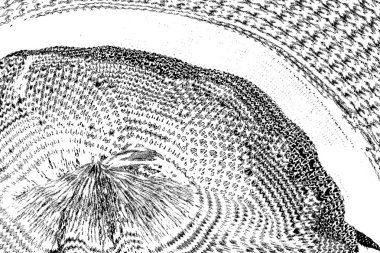 soyut siyah beyaz arkaplan