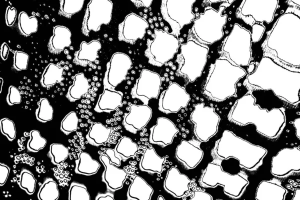 Fondo Abstracto Blanco Negro — Foto de Stock