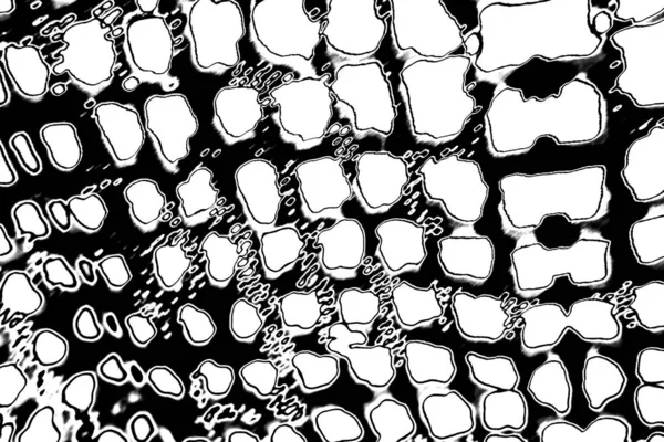 Fondo Abstracto Blanco Negro — Foto de Stock