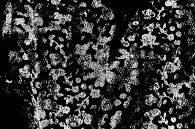 Soyut grunge arkaplanı. Monokrom dokusu. Siyah ve beyaz desenli arkaplan