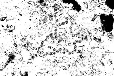 Soyut arkaplan. monokrom dokusu. resim siyah ve beyaz tonları içerir.