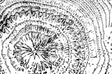 soyut siyah beyaz arkaplan