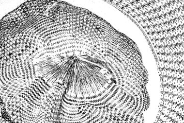 soyut siyah beyaz arkaplan