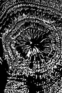 Soyut grunge arkaplanı. Monokrom dokusu. Siyah ve beyaz desenli arkaplan