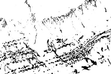 Soyut siyah-beyaz grunge arka planı. monokrom dokusu.