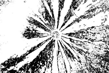 soyut siyah beyaz arkaplan