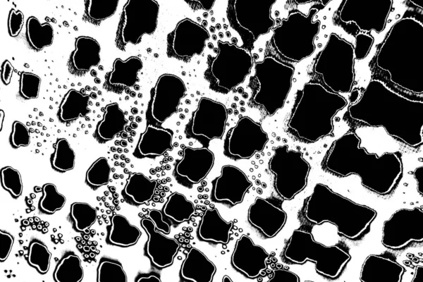 Abstract Grungy Black White Background — Stock Photo, Image