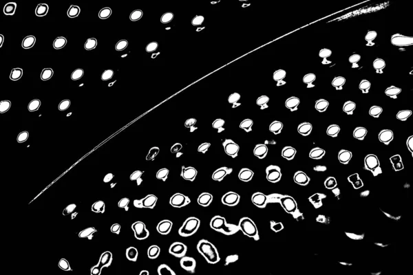 Fondo Grunge Abstracto Textura Monocromática Fondo Texturizado Blanco Negro —  Fotos de Stock