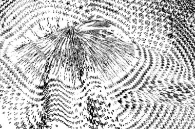 soyut siyah beyaz arkaplan