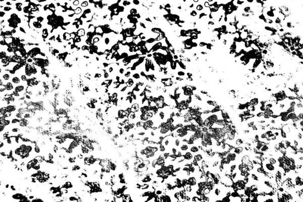 Abstract black and white grunge background. Monochrome texture.