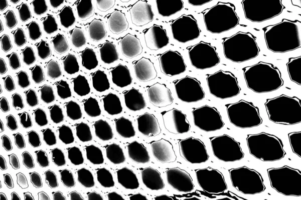 stock image Abstract grungy black and white background