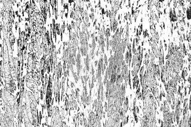 Soyut grunge arkaplanı. Monokrom dokusu. Siyah ve beyaz desenli arkaplan