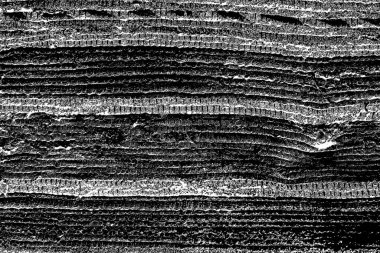 Soyut grunge arkaplanı. Monokrom dokusu. Siyah ve beyaz desenli arkaplan