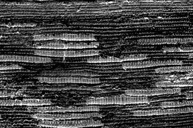 Soyut grunge arkaplanı. Monokrom dokusu. Siyah ve beyaz desenli arkaplan